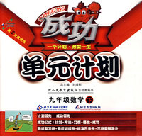 成功单元计划：九年级数学（下）（配人民教育出版社实验教科书）