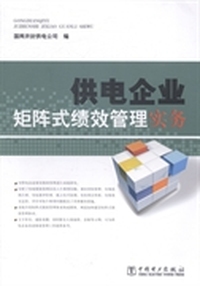供电企业矩阵式绩效管理实务