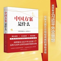 中国方案是什么