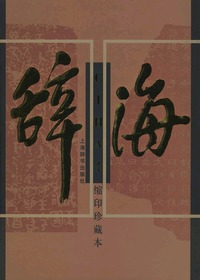 辞海(缩印珍藏本,全四卷)(赠价值178.5元的《空镜子》20VCD一套)(当当网棒系列)
