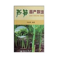 芦笋高产栽培