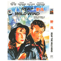 野风(DVD)