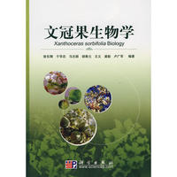 文冠果丰产栽培