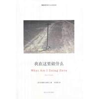 我在这里做什么