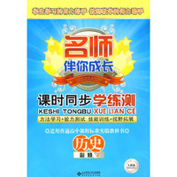 课时同步学练测：历史（必修2）——人教版