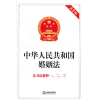 中华人民共和国婚姻法 含司法解释一、二、三（大字本）