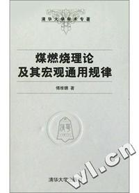 煤燃烧理论及其宏观通用规律(精)/清华大学学术专著