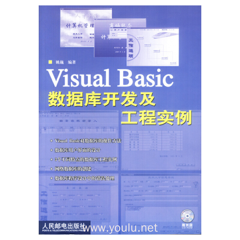 Visual Basic数据库开发及工程实例