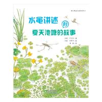 水黾讲述的夏天池塘的故事