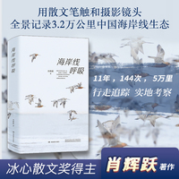 海岸线呼吸