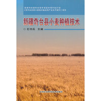新疆奇台县小麦种植技术