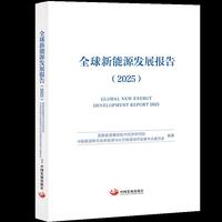 全球新能源发展报告（2025）