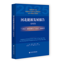 河北能源发展报告（2025）