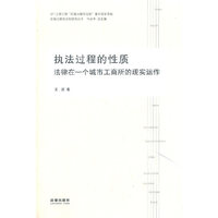 执法过程的性质