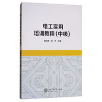 电工实用培训教程(中级)