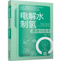 电解水制氢原理与技术