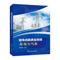 输电线路典型故障与电力气象