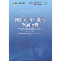 国际可再生能源发展报告2017