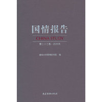 国情报告 第二十三卷（2020年）
