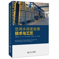 饮用水深度处理技术与工艺