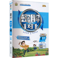 2025春优秀生密解1对1四年级下册语文人教部编版小学语文4年级教辅同步教材全解知识点解读