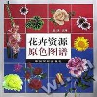 花卉资源原色图谱