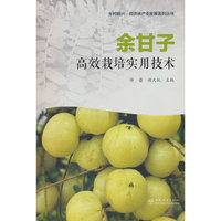 余甘子高效栽培实用技术/乡村振兴经济林产业发展系列丛书
