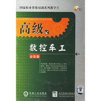 高级数控车工（2VCD）
