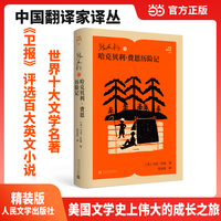 张友松译哈克贝利费恩历险记（中国翻译家译丛）