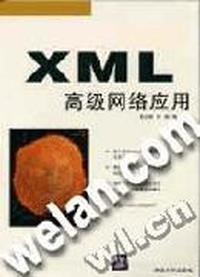 XML高级网络应用