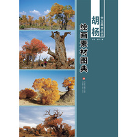 胡杨-绘画素材图典