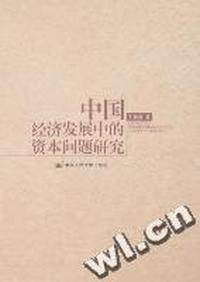 中国经济发展中的资本问题研究