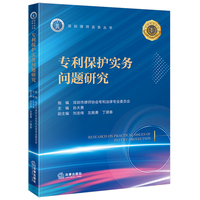 专利保护实务问题研究