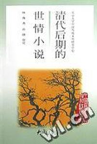 清代后期的世情小说/中国历史文化知识丛书