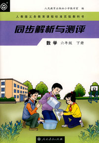 同步解析与测评：数学（六年级下册）