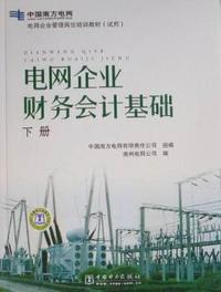 电网企业财务会计基础:下册