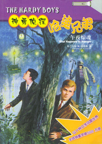 神勇侦探哈迪兄弟(午夜惊魂)