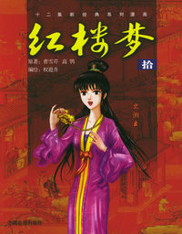 红楼梦（拾）——十二集新经典系列漫画