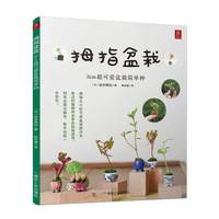 拇指盆栽：3cm超可爱盆栽简单种