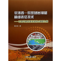 低渗透-致密砂岩储层精细表征技术-以志丹地区延长组长6油层为例