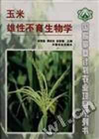 玉米雄性不育生物学