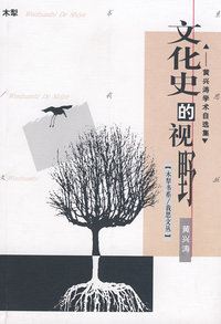 文化史的视野:黄兴涛学术自选集
