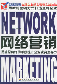 网络营销(金牌企业新实营销实战技法)
