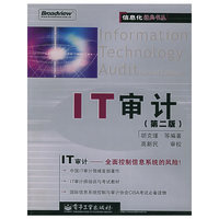 IT审计（第2版）