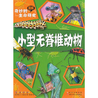 小型无脊椎动物-图解奇妙的生命简史