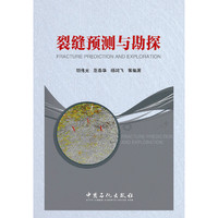 裂缝预测与勘探