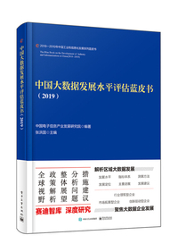 中国大数据发展水平评估蓝皮书（2019）