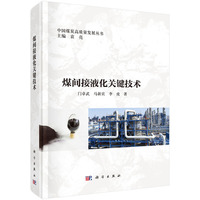 煤间接液化关键技术9787030820549门卓武科学出版社