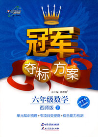 冠军夺标方案：六年级数学—西师版（下）