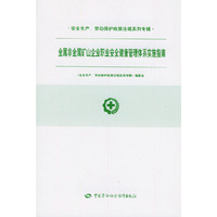 金属非金属矿山企业职业安全健康管理体系实施指南/安全生产劳动保护政策法规系列专辑